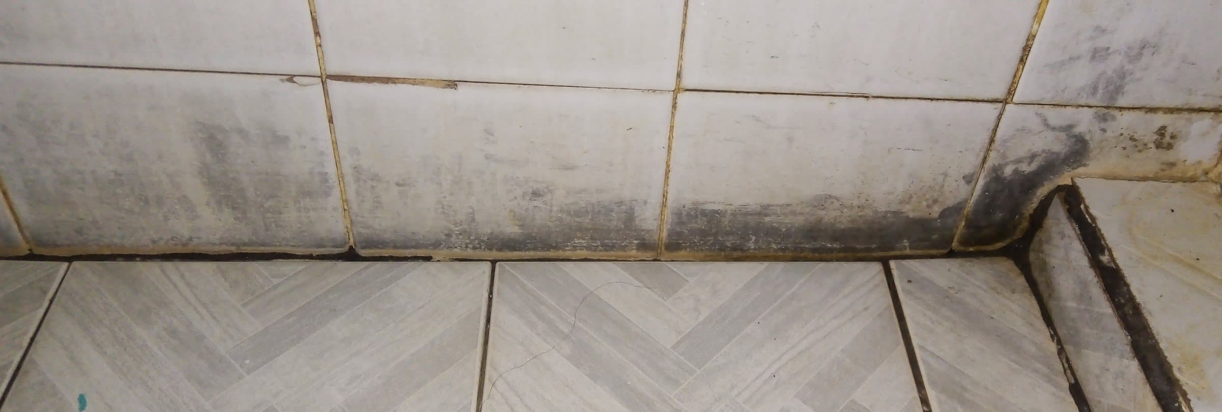 Black mould in the corner of a tiled bathroom. Illustration, not a photo from a visit.